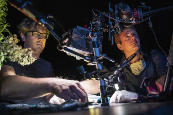 Plastisphere c Wens Kobe