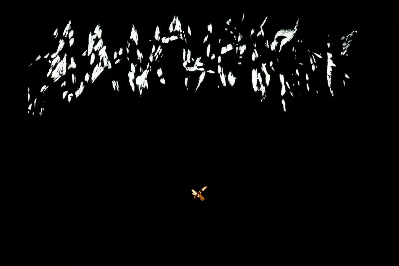 Licht_Muziek_Concertgebouw_Brugge_118